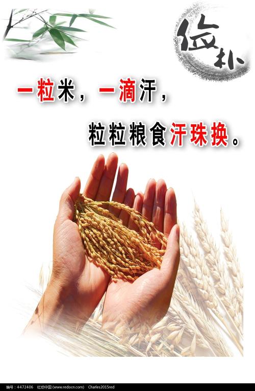 不动产证 比例